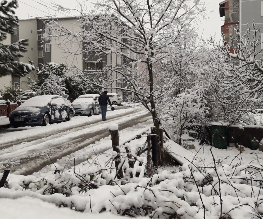 Śnieżyce