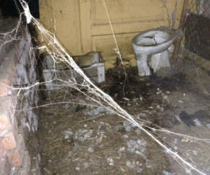 Interwencja inspektorów TOZ w Jabłowie