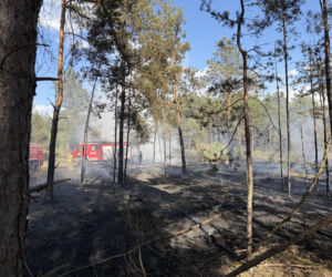 Strażacy walczą z potężnym pożarem na Mazowszu