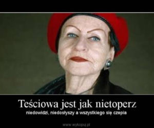 Dzień Teściowej 2020. Zobacz najlepsze memy