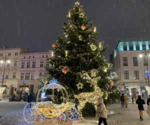 Ceny, atrakcje, produkty!