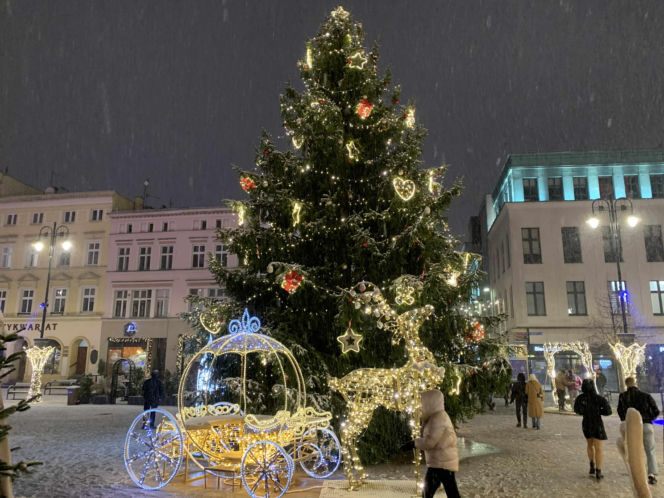 Ceny, atrakcje, produkty!