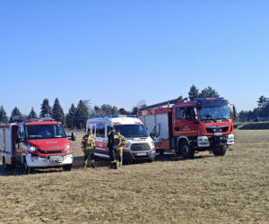 Ogromne siły policji pod Wrocławiem. Szukają zaginionej aktorki. Znaleziono rozbite auto!
