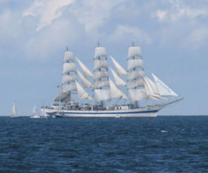Zdjęcie 5918