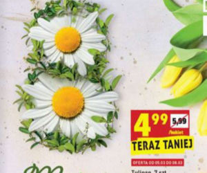Super promocje w Biedronce od 4.03