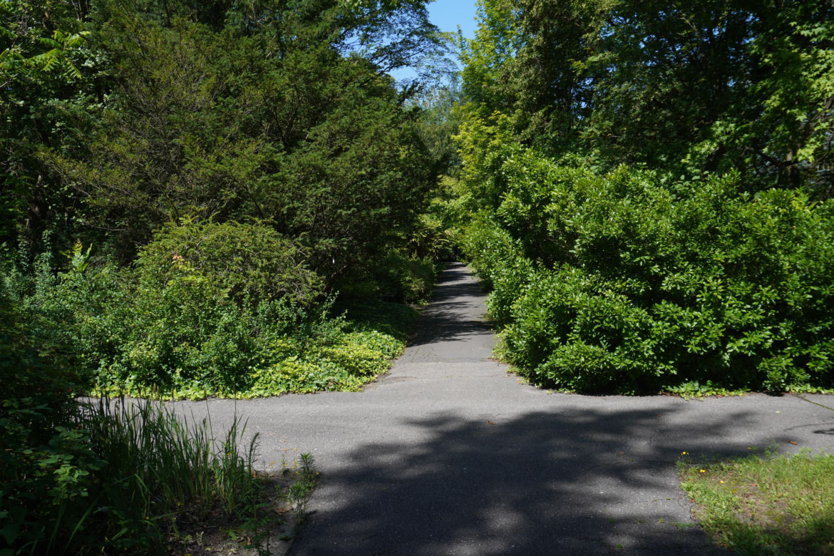 Ogród Botaniczny w Poznaniu 