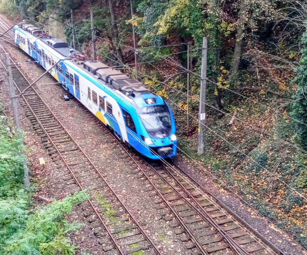 Zachodniopomorscy przedsiębiorcy o budowie SKM: To potrzebna inwestycja