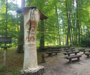 Leśne Arboretum Warmii i Mazur w Kudypach