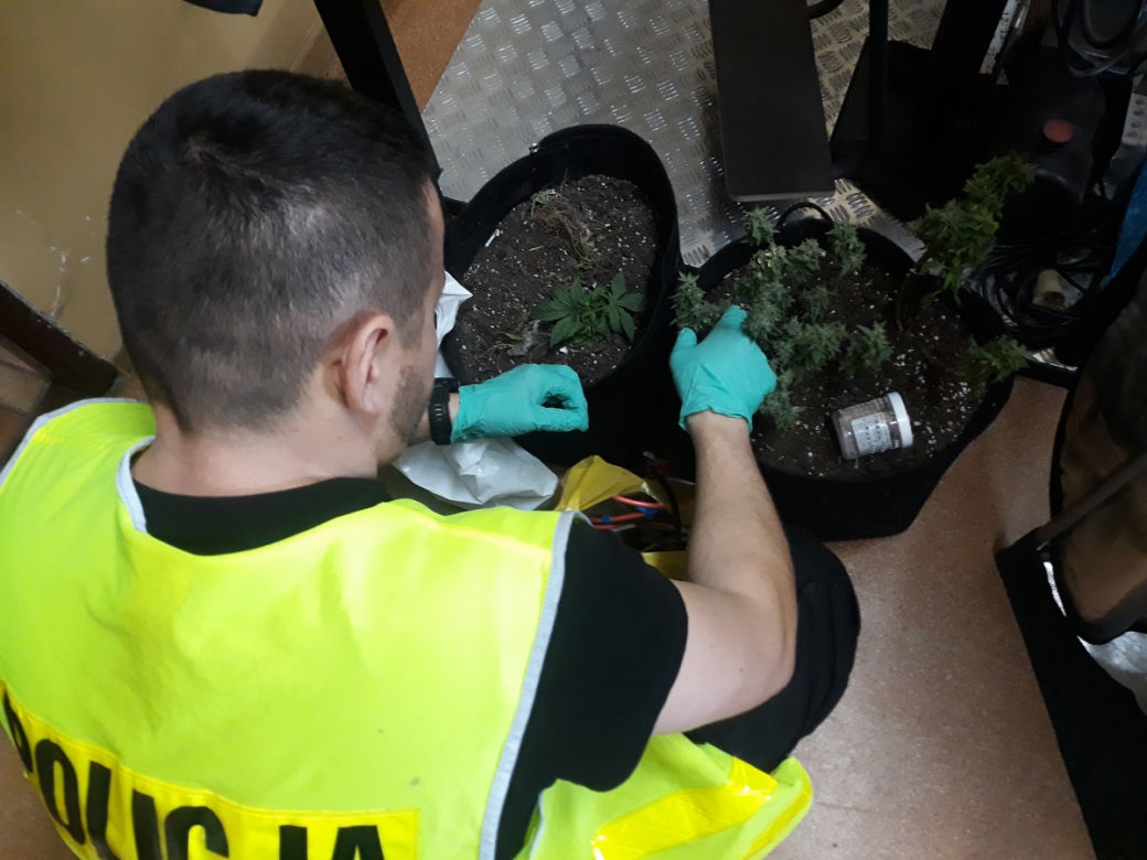 Awantura domowa w Rypinie zmieniła się w sprawę kryminalną