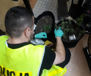 Awantura domowa w Rypinie zmieniła się w sprawę kryminalną