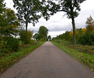 Bielsk Podlaski, Mulawicze. Sprawca śmiertelnego potrącenia 59-letniej rowerzystki zatrzymany