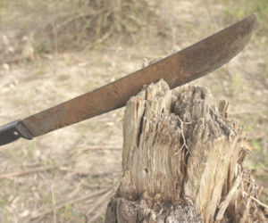 Zwrócił uwagę oprawcy kobiety. Wtargnęli do niego z maczetami