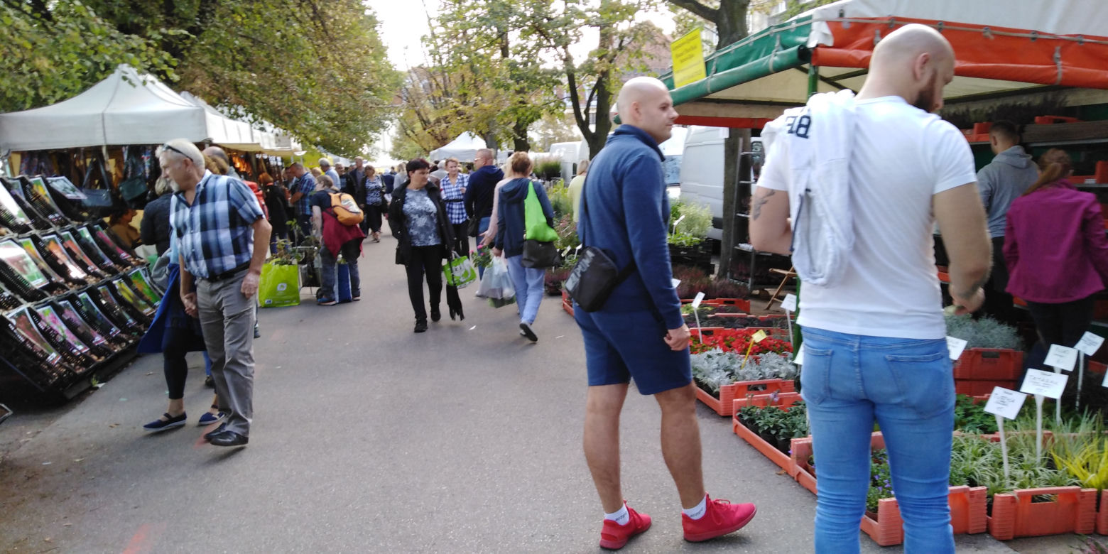 Kiermasz ogrodniczy "Pamiętajcie o ogrodach" w Szczecinie