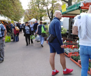 Kiermasz ogrodniczy Pamiętajcie o ogrodach w Szczecinie