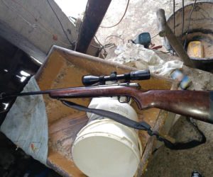 Policja rozbiła grupę złodziei bydła. Pięciu mężczyzn z zarzutami