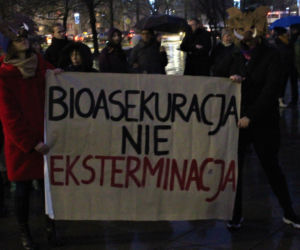 Szczecinianie protestowali przeciwko odstrzałowi dzików