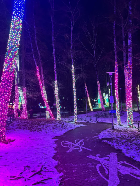 Garden of Lights w Szczecinie