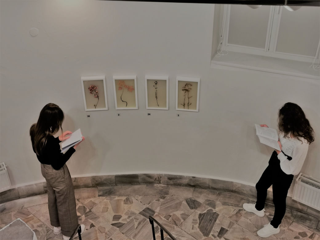 HERBARIUM Łukasza Surowca