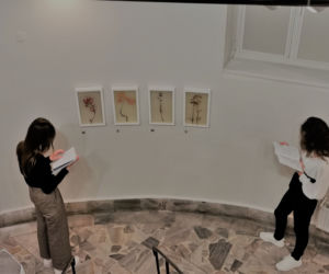 HERBARIUM Łukasza Surowca