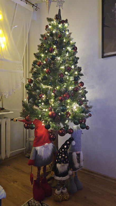 Żywe i sztuczne. Nasi Czytelnicy pochwalili się swoimi choinkami. Zobacz zdjęcia!