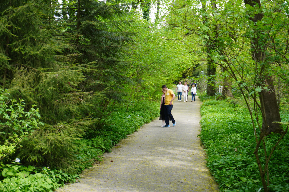 Ogród Botaniczny w Lublinie