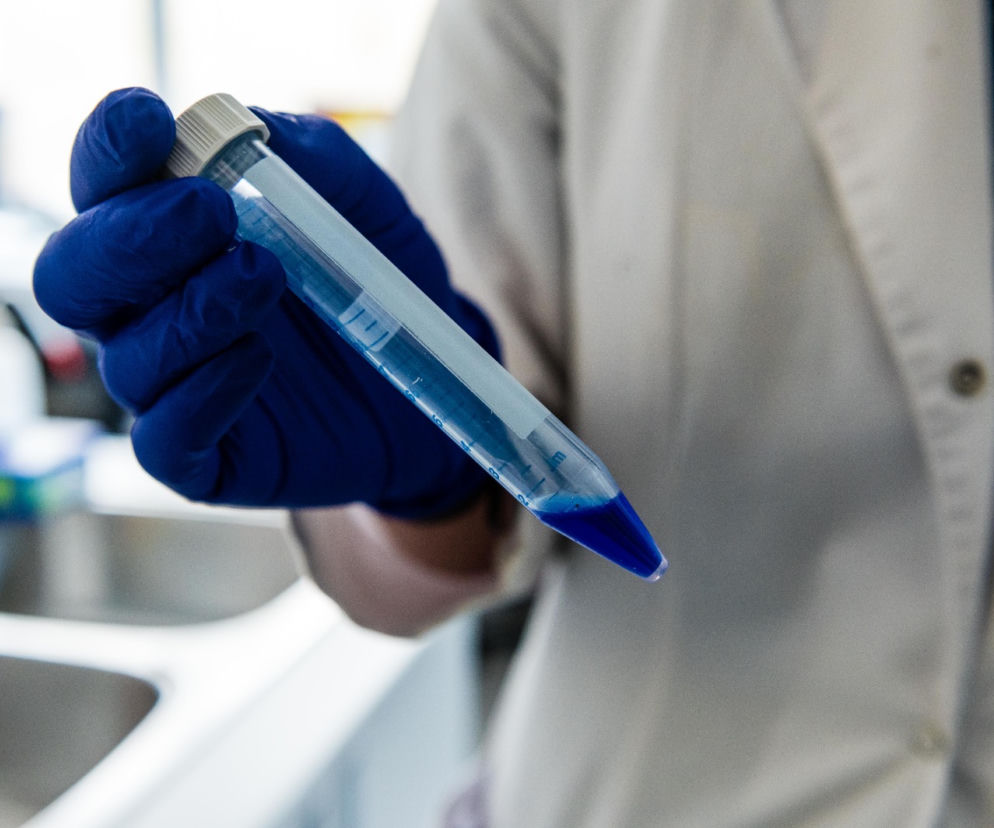 Koronawirus w Trójmieście. Tak pracują laboratoria