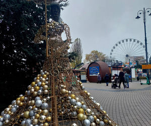 Choinka stoi. Most Staromiejski się stroi. Bydgoszcz rozbłyśnie już 21 listopada 2025. Rusza Bydgoski Jarmark Świąteczny