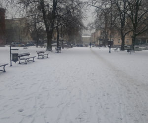 W Bydgoszczy znów prószy śnieg