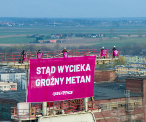 Greenpeace Knurów