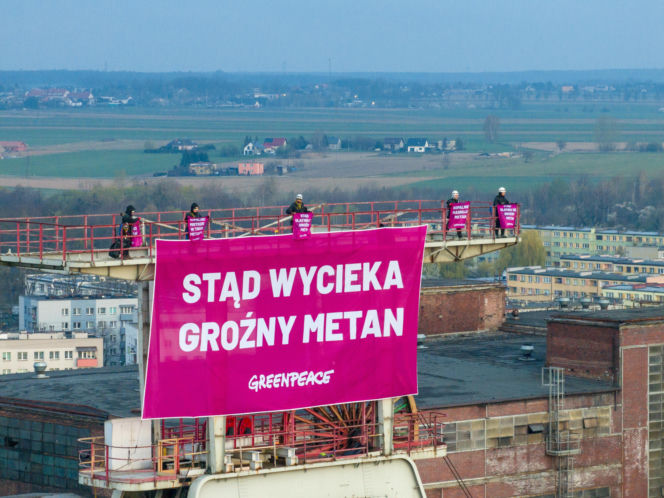 Greenpeace Knurów