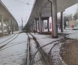 Obraziła się na motorniczego i zablokowała ruch! Usiadła na torach, wstała i zaczęła iść przed tramwajem