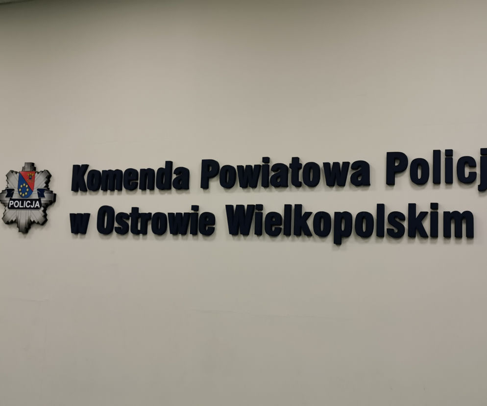 policja ostrów