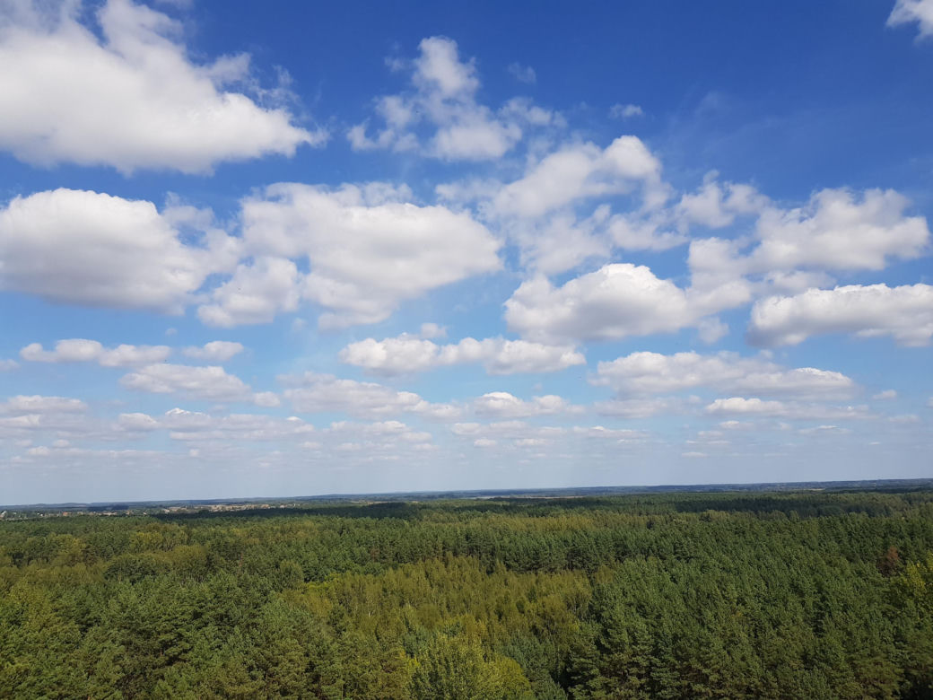 Wieża widokowa w Uhowie. To najwyższa wieża na Podlasiu [ZDJĘCIA]