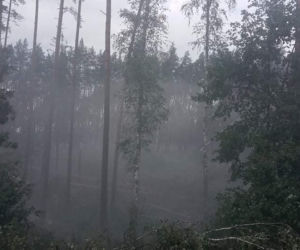 Niszczycielka nawałnica pod Świeciem! Przerażające zdjęcia