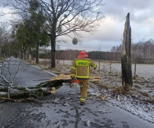 Uszkodzony radiowóz, zalania, połamane drzewa. Wichury w pow. iławskim