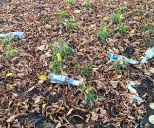 Wzgórze Napoleona w Szczecinie