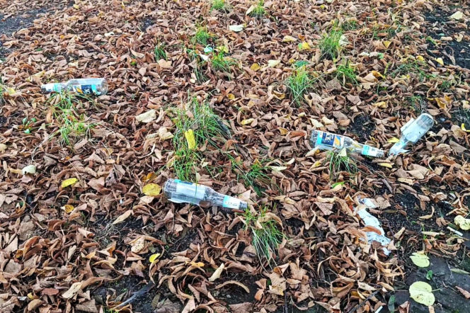 Wzgórze Napoleona w Szczecinie