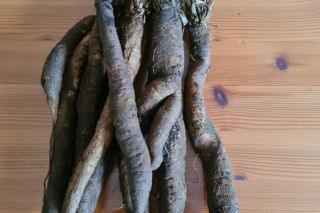 Wężymord to jedno z najbardziej niedocenianych warzyw w polskiej kuchni. Jest bogate w inulinę oraz cenne minerały