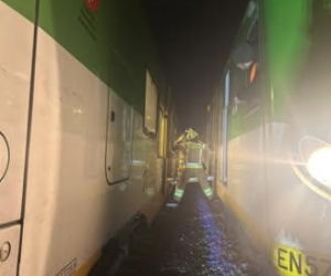 Na trasie Siedlce – Warszawa w rejonie Gręzowa pociąg zderzył się z sarną. Ewakuowano ok. stu osób