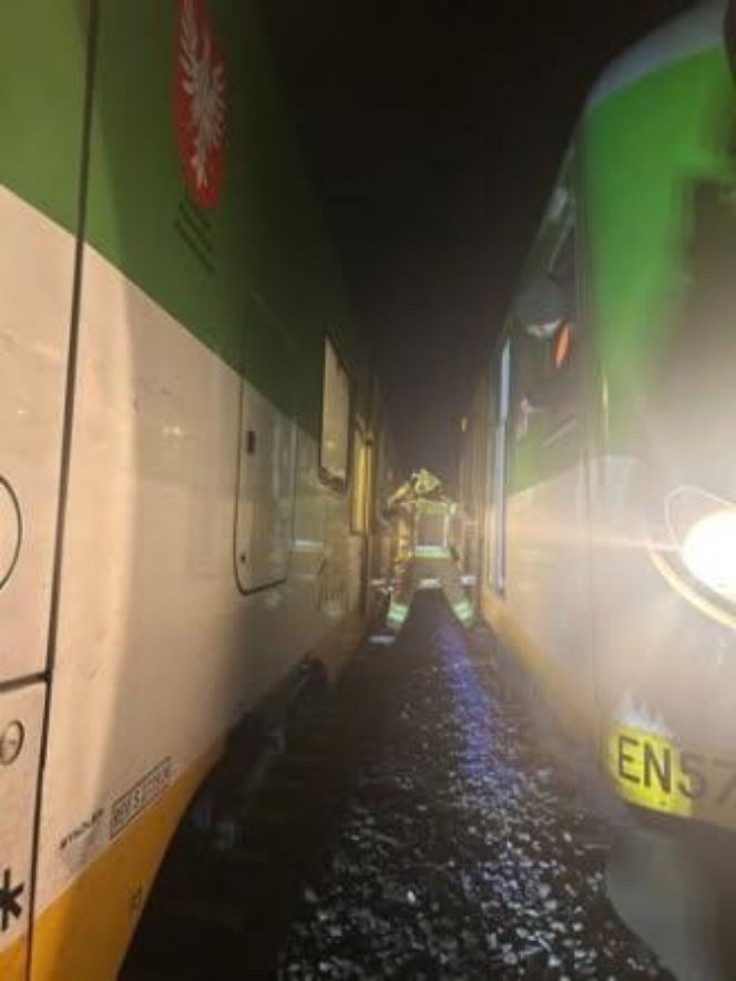 Na trasie Siedlce – Warszawa w rejonie Gręzowa pociąg zderzył się z sarną. Ewakuowano ok. stu osób