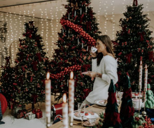 Gwiazdy wystroiły wille na święta! Przetakiewicz, Kurzopki i Rozenek wydali grube tysiące!