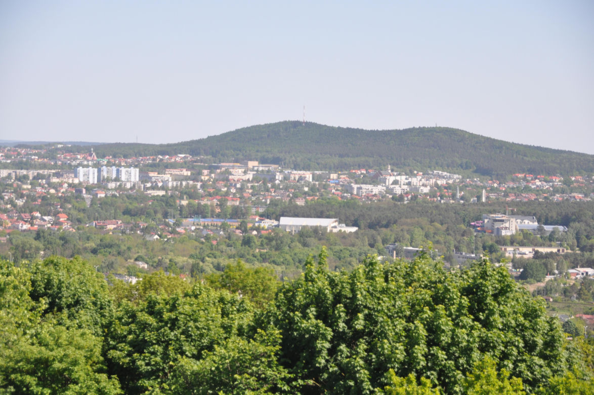 Rezerwat Karczówka