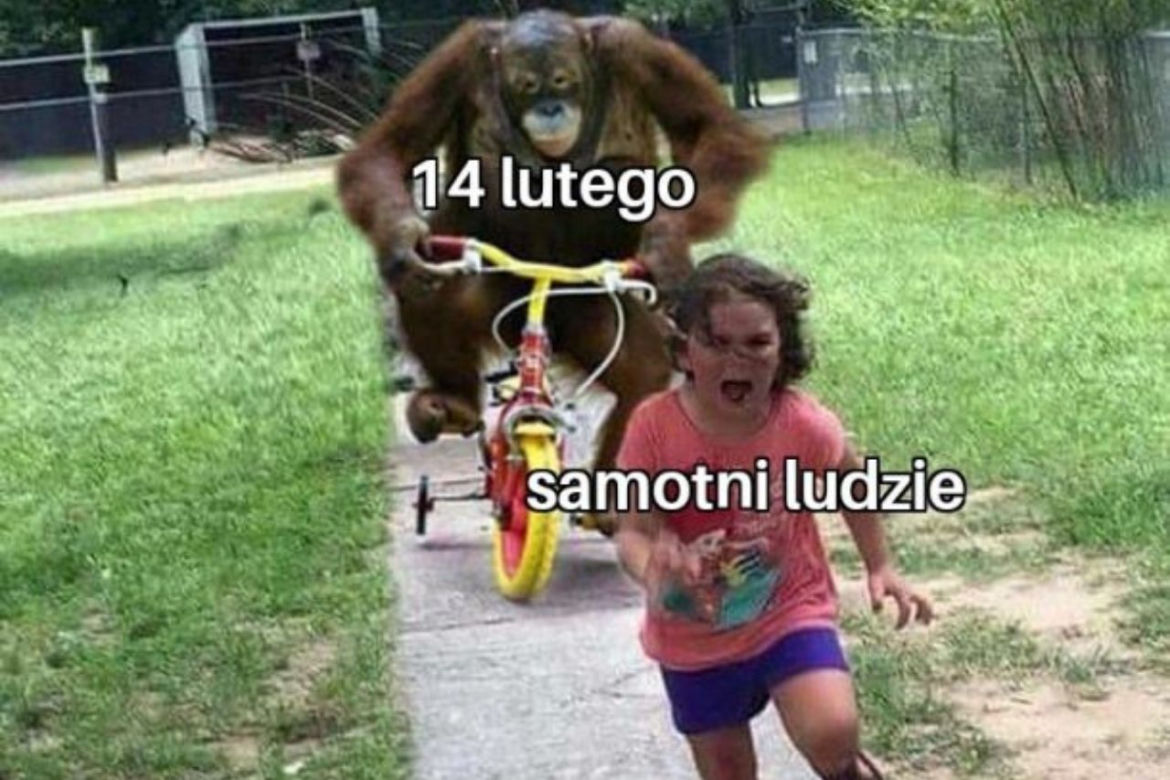 Walentynki - najlepsze memy i śmieszne obrazki