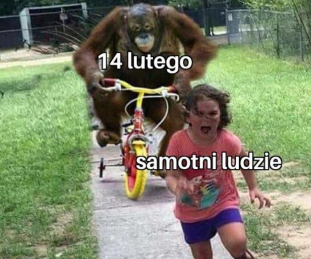 Walentynki memy