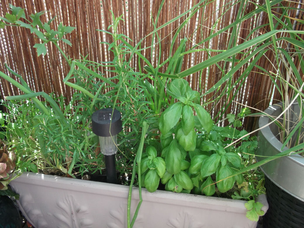 Mały balkon w wielkim mieście zdjecie nr 3
