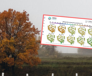 Pogoda gwałtownie się zmieni. IMGW ostrzega przed chłodem i silnym wiatrem