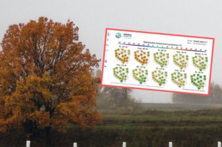 Pogoda gwałtownie się zmieni. IMGW ostrzega przed chłodem i silnym wiatrem