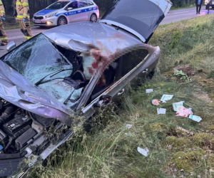 Kilkusetkilogramowy zwierz wbił się w auto 44-letniego Warszawiaka