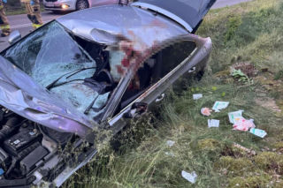 Kilkusetkilogramowy zwierz wbił się w auto 44-letniego Warszawiaka