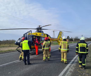 Leżała w rowie ciężko ranna, zmarła w szpitalu! Policja w Płońsku poszukuje sprawcy makabrycznego wypadku [ZDJĘCIA]
